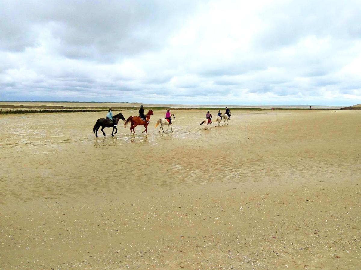 Maison Proche Des Immenses Plages De Berck Sur Mer A 1,8Km Des Plages Bagian luar foto